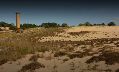 Beach dunes with tower in background