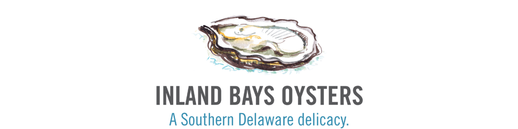 Fresh Local Oysters Hero Image