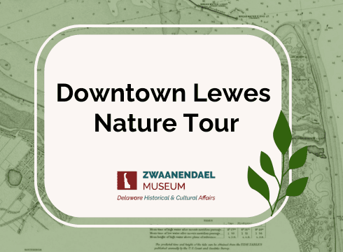 Downtown Lewes Nature Tour