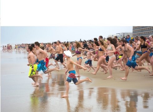 Lewes Polar Bear Plunge