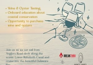 Vine & Brine: A Wine & Oyster Tasting Cruise