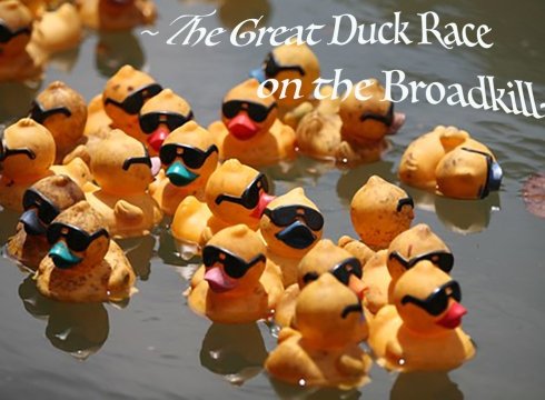 Bargains on the Broadkill and The Great Duck Race