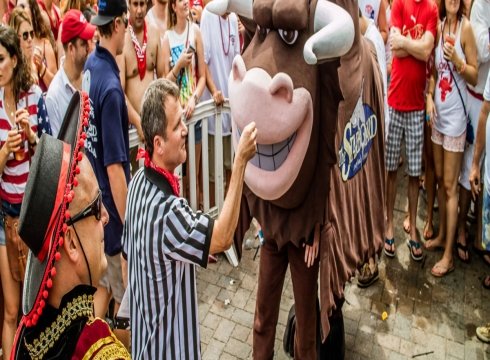 22nd Annual Running of the Bull