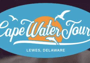 Inland Bays Oyster Experience Eco Tour from Grove Park/Rehoboth Museum
