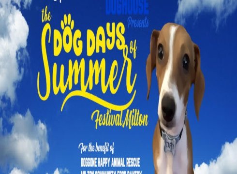 Dog Days of Summer Festival