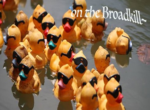  Bargains on the Broadkill