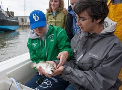 Estuarine Ecology Tour