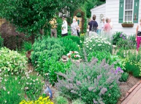 Lewes Garden Tour