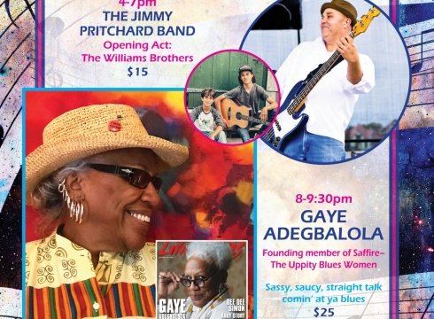 Summer Mini Blues Festival