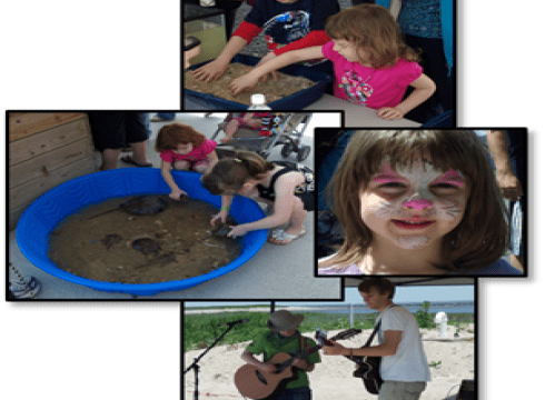 Peace, Love & Horseshoe Crab Festival