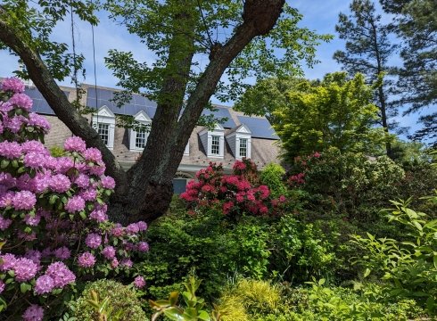 Open Garden on Mother's Day