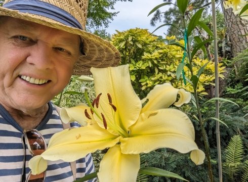 High Summer Flowers