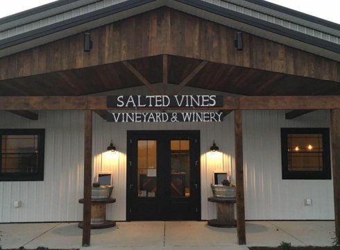 Vine to Wine: Preparing for Harvest