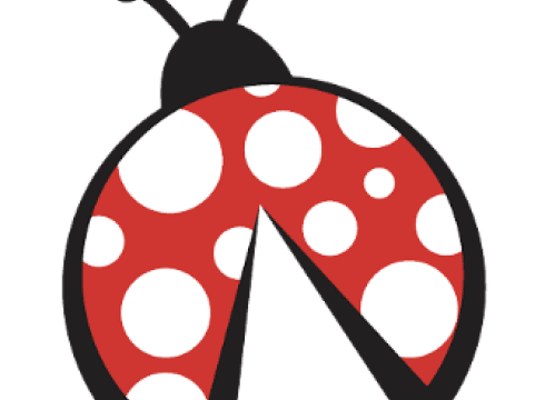 LadyBug Festival