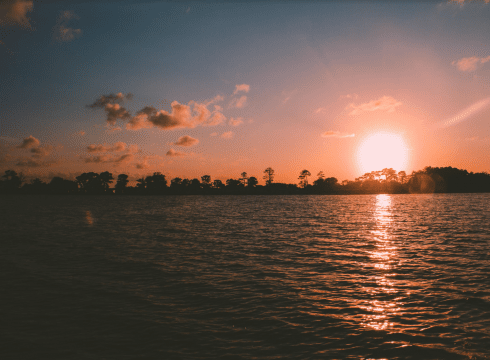 Sunset Stroll Through the Preserve