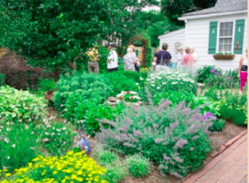 33rd ANNUAL LEWES GARDEN TOUR ON JUNE