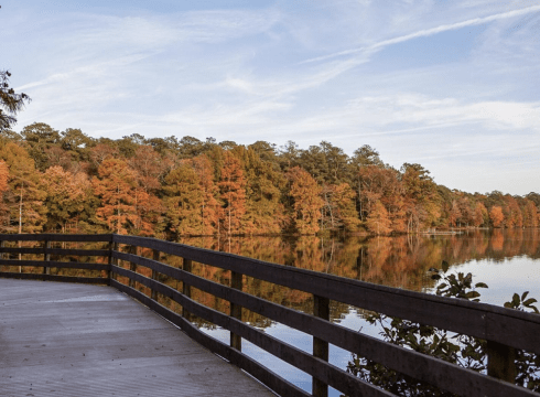 Annual Trap Pond Fall Festival