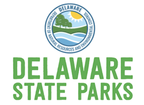 Nature Art in the Park - You’re a Natural: Observing and Drawing Nature at Cape Henlopen