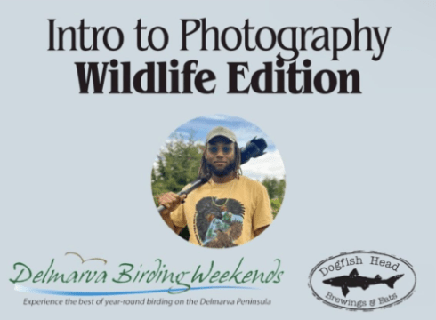 Photo Workshop with Troy Bynum