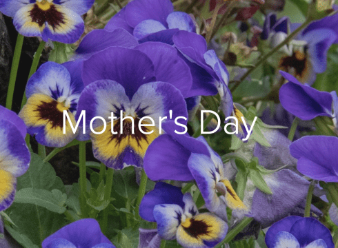 Mother's Day