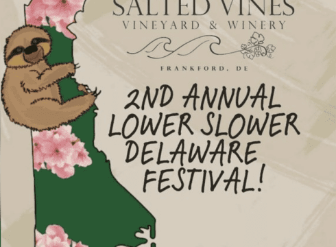 2nd Annual Lower Slower Delaware Festival