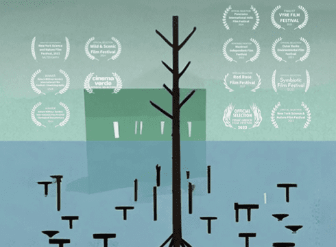 Green Screen Film Festival