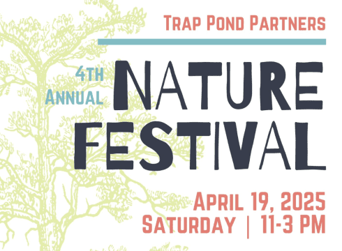 Nature Festival