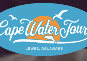Oyster & Wine Cruise