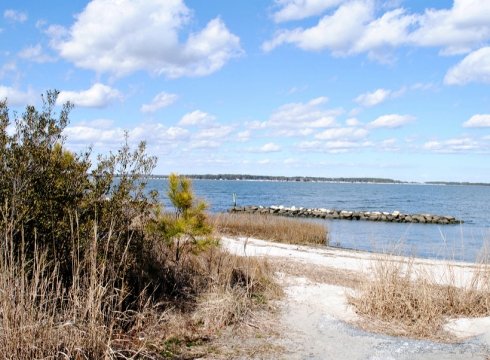 A Sunday Drive: Hidden Gems of the Inland Bays