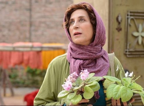 Streaming Film - African Violet