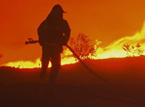 Streaming Film - Rebuilding Paradise