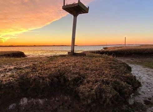 Sunset Stroll At The Preserve