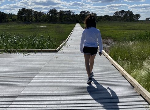Hike the Sea Hawk Trail