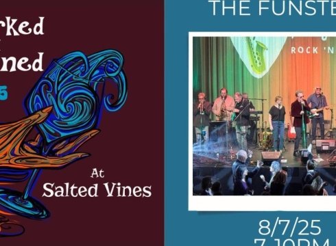 The Funsters Concert at Salted Vines