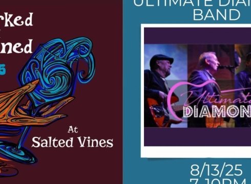 Ultimate Diamond Band Concert at Salted Vines