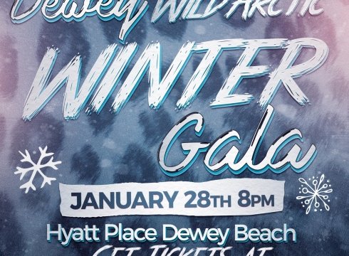 Dewey Wild Arctic Winter Gala