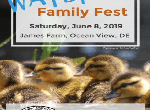 Water Family Fest
