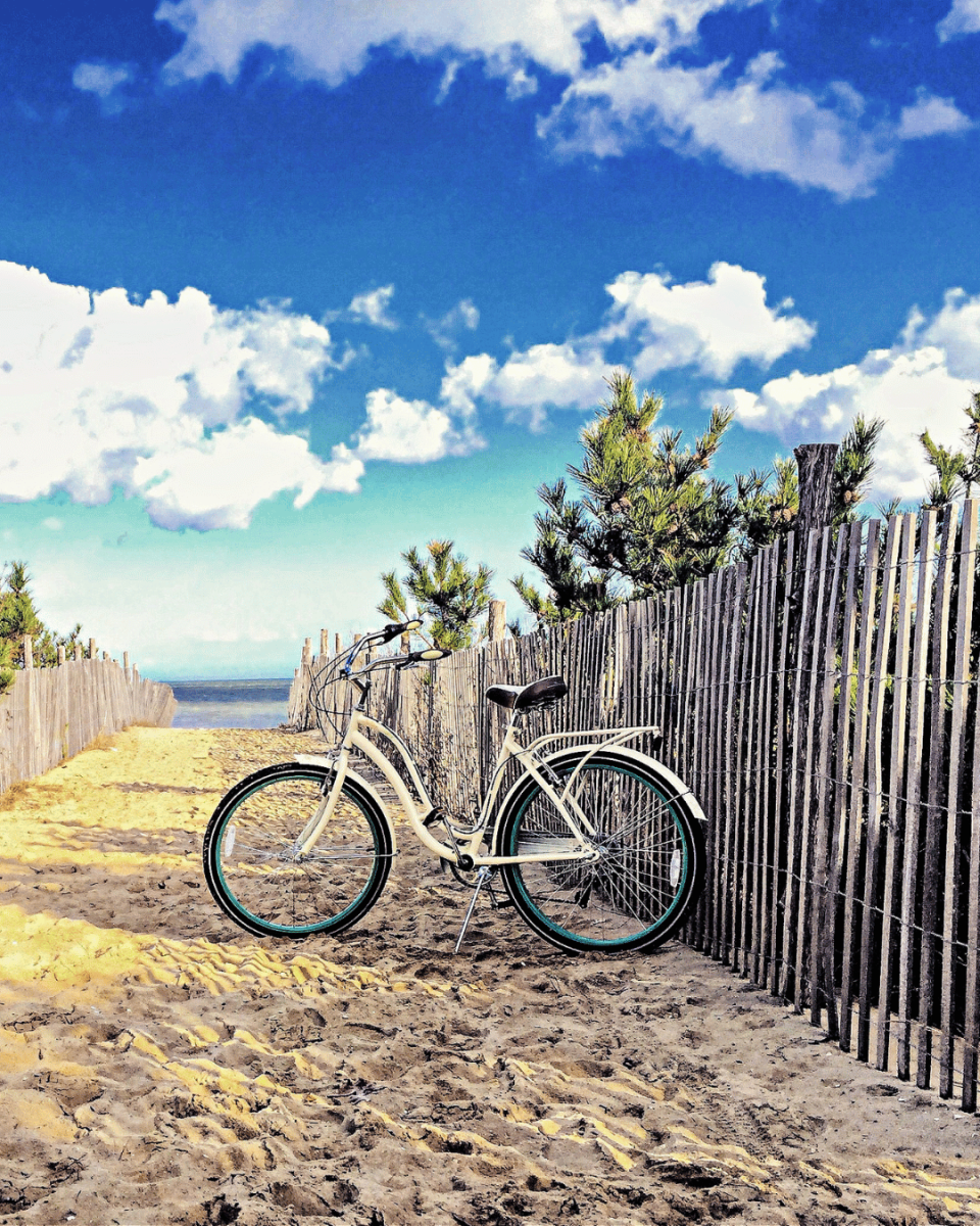 Freestyle - Southern Delaware Tourism Photo Contest