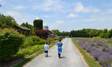 Garden and Welcome Center July 2019