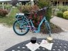 Pedego Cape May