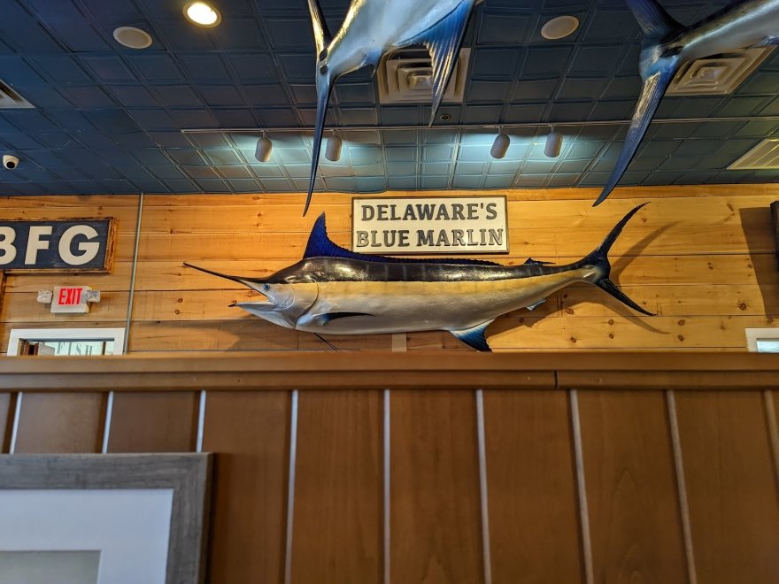 Big Fish Grill Rehoboth