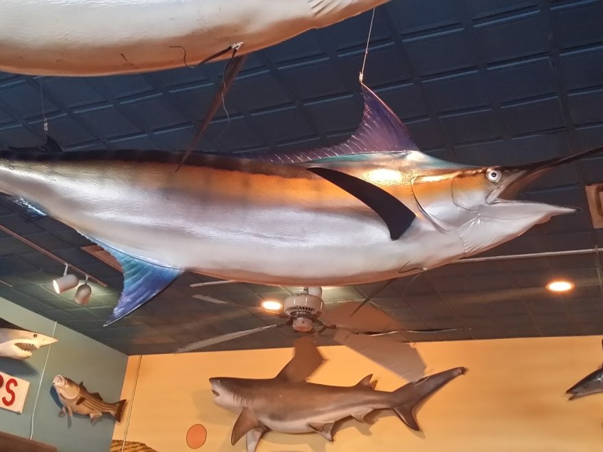 Big Fish Grill Rehoboth