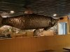 Big Fish Grill Rehoboth