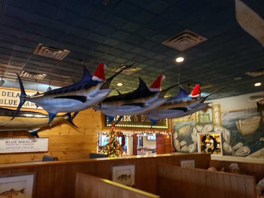 Big Fish Grill Rehoboth
