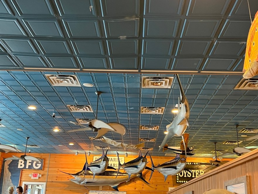 Big Fish Grill Rehoboth