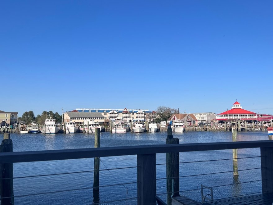 Harbour Restaurant at Canal Square