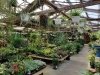 Pepper Greenhouses