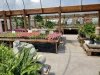 Pepper Greenhouses