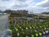 Bella Terra Landscape and Garden Center