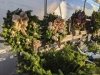 Lakeside Greenhouses
